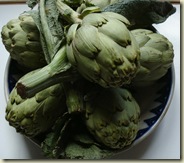 artichokes_1_1