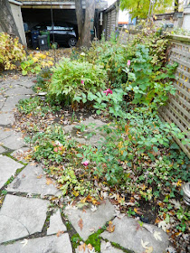 Toronto Leslieville Backyard Garden Fall Clean up before by Paul Jung Gardening Services