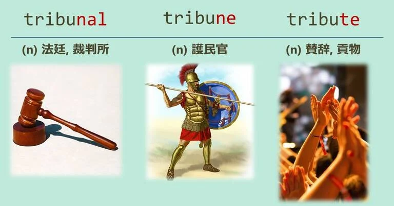 tribunal, tribune, tribute, スペルが似ている英単語