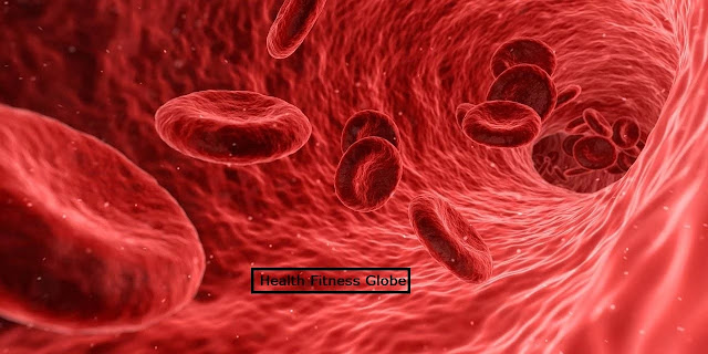 immunization-how-the-immune-system-response