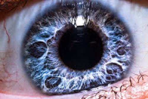 Sacred Sight Improving Vision Naturally