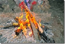 foc