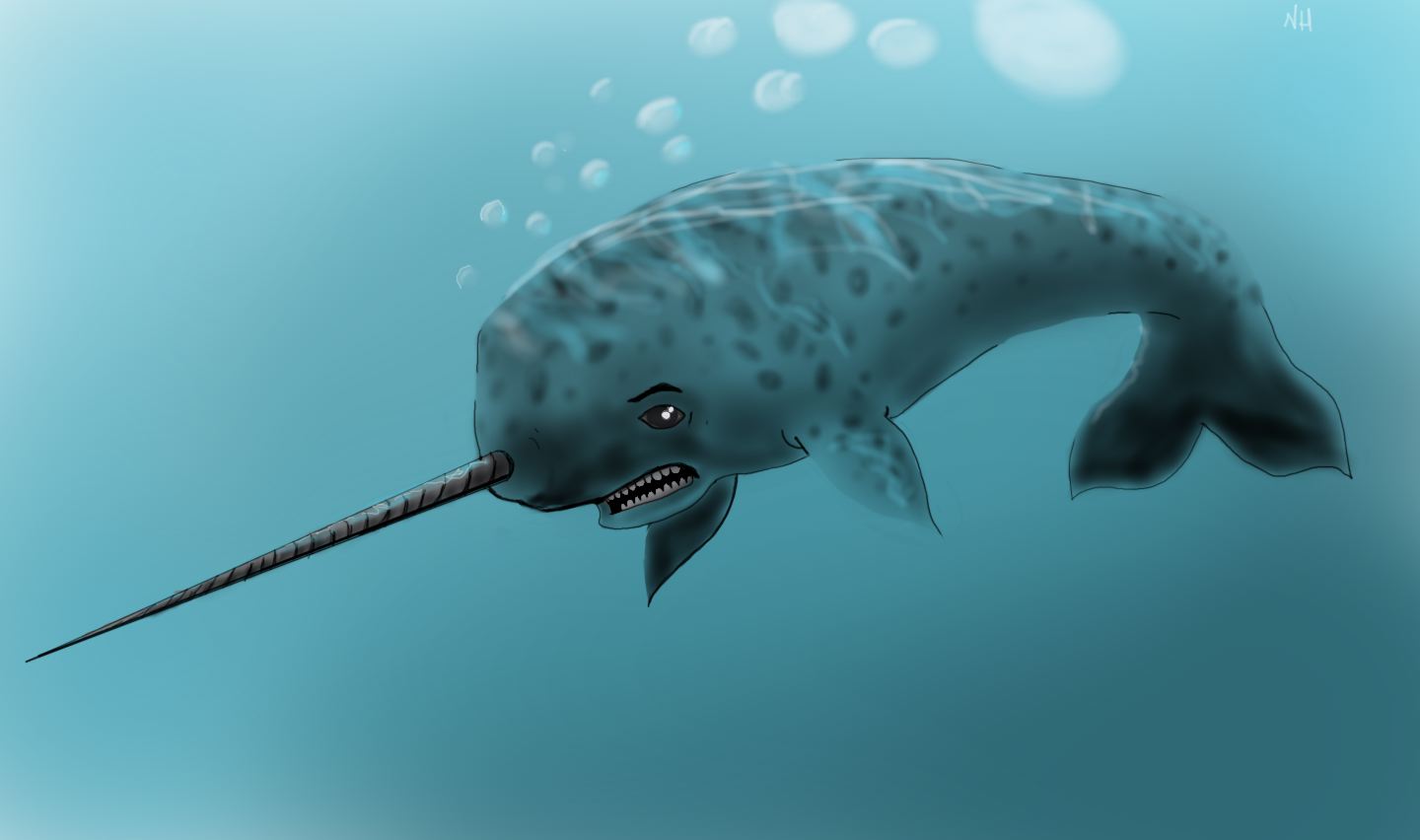 Nates Right Brain: Challenge Day 2~Favorite Animal–NARWHAL