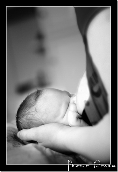 DVM_4291an DVM_4291an