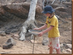 O'Brien's campsite Qld 2011-08-06 013