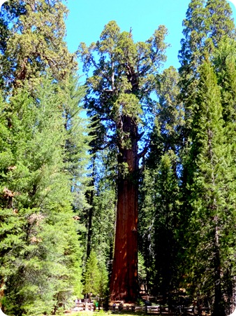 General Sherman