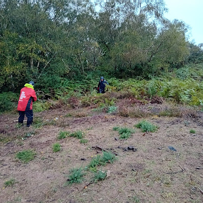 cleared grass, bramble and bracken