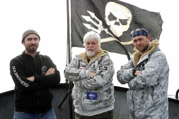 whale wars new boat. Whale Wars will return for