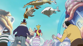 ワンピースアニメ 魚人島編 551話 | ONE PIECE Episode 551