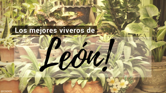 Comprar Plantas online en León, España