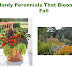 Hardy Perennials That Bloom in the Fall