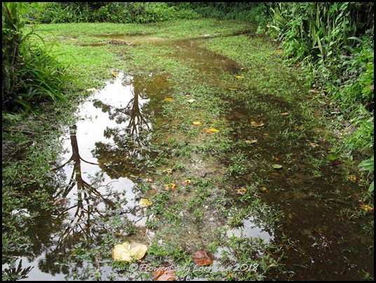 06-10-driveway2