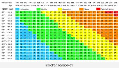 Body Mass Index