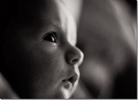 IMG_7324 IMG_7324