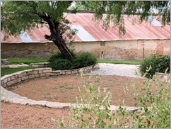 roma bluff courtyard