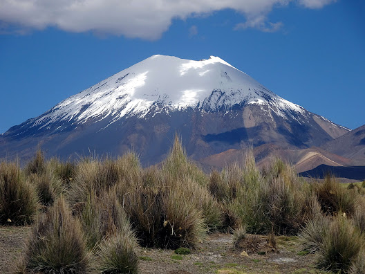 El volcán Parinacota (6.319 msnm) es un estratovolcán situado en la frontera de Bolivia y Chile, entre el Departamento de Oruro y la Región de Arica y Parinacota respectivamente, encontrándose sobre la cordillera de los Andes. Junto con el Pomerape, conforma los nevados de Payachatas, «dioses» para los habitantes del altiplano andino, tanto bolivianos como chilenos.