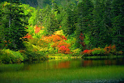 Colorful forest with outstanding lake infront (wallpaper nature )