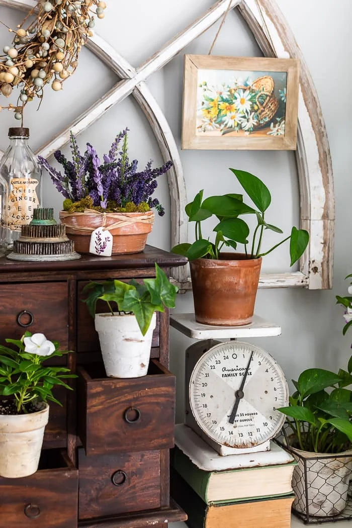 small pictures hanging on antique window, pots of flowers, greenery, vintage scale