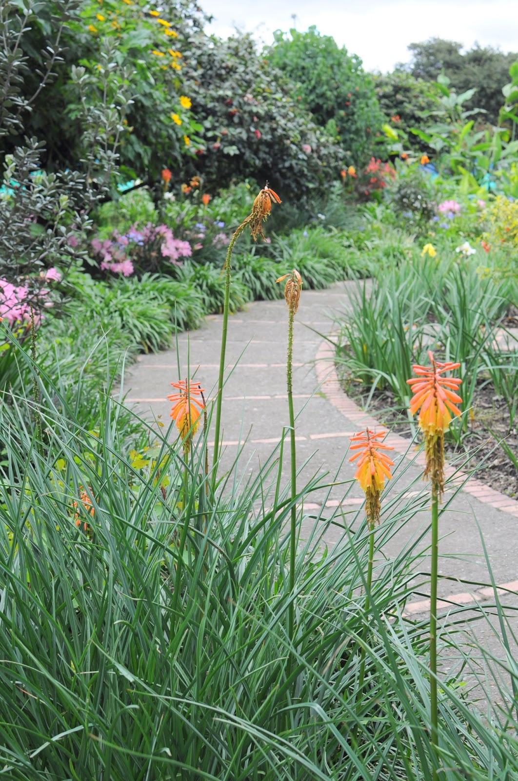 El Jardin Botánico es un sitio para hacer turismo en Bogotá