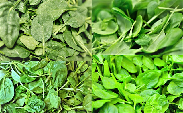 10 Important Health Benefits Of Spinach