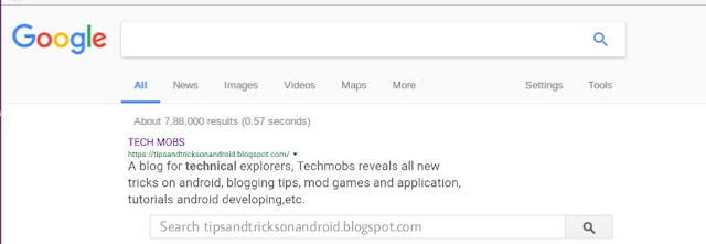 Google's Sitelinks Search Box