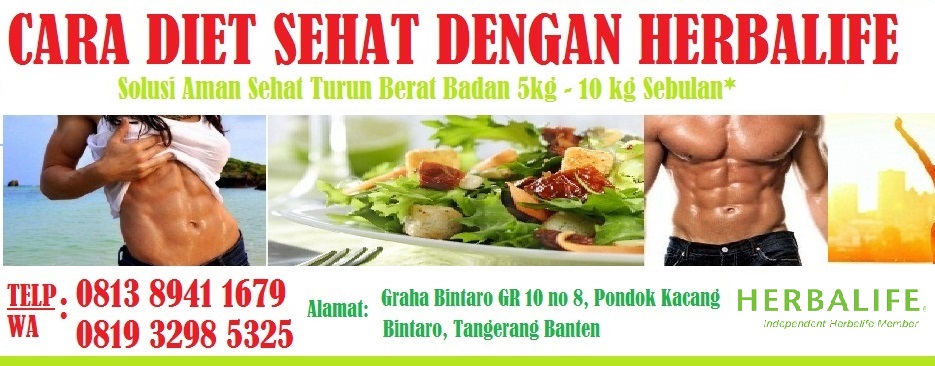 PAKET HERBALIFE UNTUK DIET SAMBIL MENYUSUI I TIPS CARA 