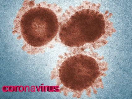 coronavirus pakistan