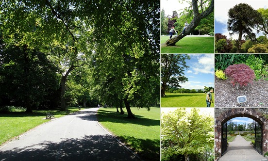 View A Walk around Balloch Country Park