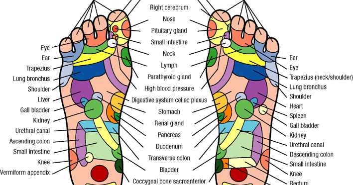 +a.m.e.l.i.a.t.i+: Foot Reflexology Massage