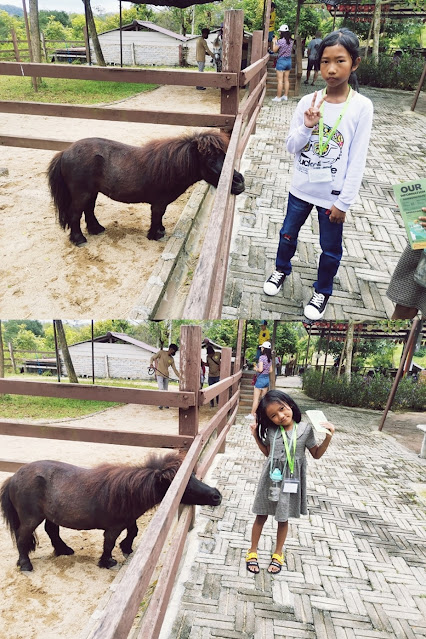 Tempat Menarik di Pahang, The Bentong Farm