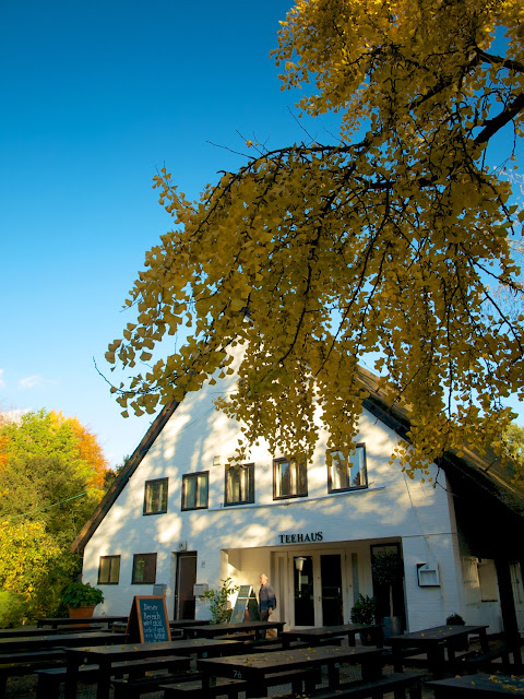 Teehaus junto al Englischer Garten, Tiergarten