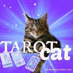 Tarot Cat