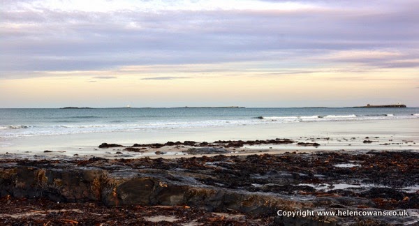 Bamburgh  mum 2