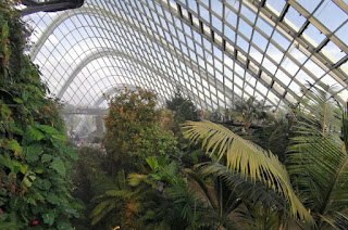 Cloud Forest o Bosque Nuboso. Gardens by the Bay o Jardines de la Bahía, Singapur o Singapore.