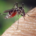 Saúde| MT lidera ranking de transmissão de febre chikungunya no país