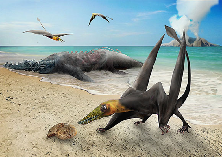 Los pterosaurios (del griego pteron y sauros, que significa "lagarto alado") eran reptiles voladores. Existieron durante la mayor parte del Mesozoico: desde finales del Triásico hasta finales del Cretácico (hace 228 a 66 millones de años). Los pterosaurios son los primeros vertebrados que se sabe que han evolucionado en el vuelo propulsado. Sus alas estaban formadas por una membrana de piel, músculo y otros tejidos que se extendía desde los tobillos hasta un anular dramáticamente alargado.