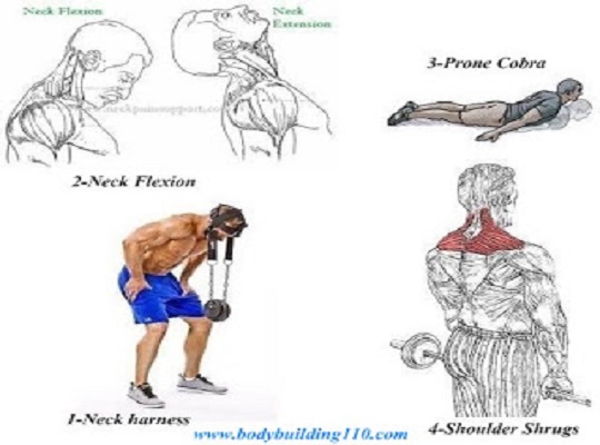 4 Best Neck Exercises