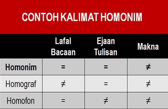 20 Contoh Kalimat Homonim : Kata dan Penjelasannya 