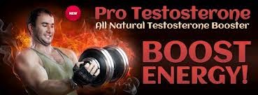 Pro Testosterone