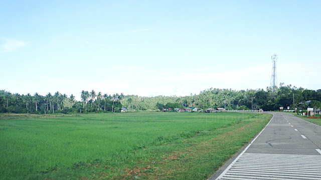 panoramic rice field in Rosario Northern Samar