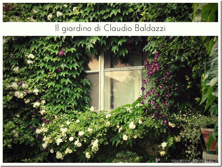 Il giardino di Claudio (20)