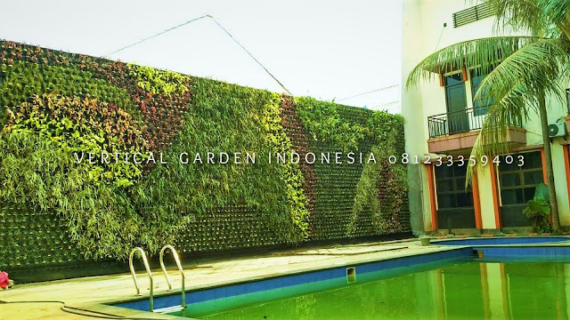 VERTICAL GARDEN INDONESIA SPESIALIS JASA PEMBUATAN VERTICAL GARDEN DI KEBUMEN JAWA TENGAH DAN DI SELURUH WILAYAH JAWA TENGAH DENGAN TENAGA YANG PROFESIONAL DAN DAPAT DI PERCAYA YANG SELALU MENGUTAMAKAN SEBUAH MUTU DAN KUALITAS PEMASANGAN VERTICAL GARDEN/TAMAN DINDING, JASA TUKANG TAMAN VERTICAL KEBUMEN JAWA TENGAH, JASA VERTICAL GARDEN KEBUMEN JAWA TENGAH