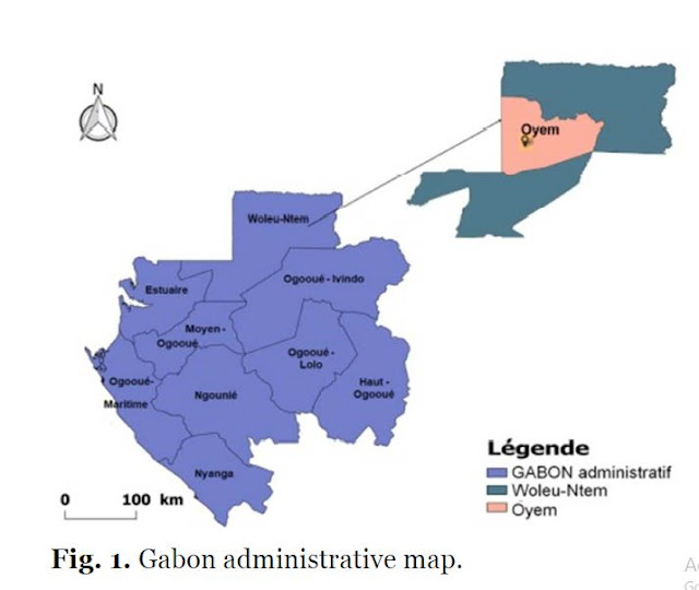 Gabon administrative map.