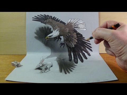 3d animal drawing in a picture frame