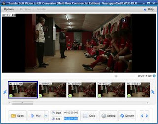 ThunderSoft Video to GIF Converter