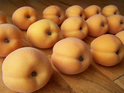 Fruit Alphabetical List - Apricots