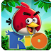 Angry Birds Rio-v2.6.11-Mod