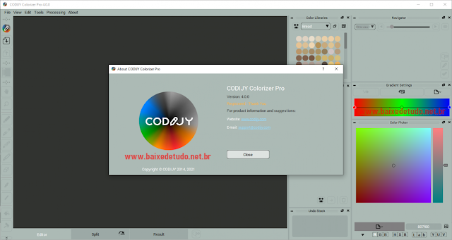 CODIJY Colorizer Pro v4