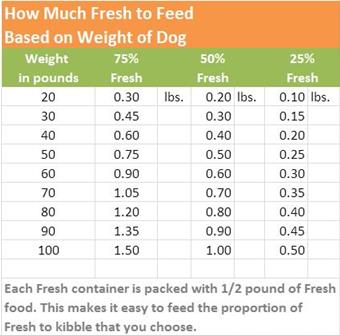 Dog Feeding Guidelines3