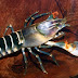 Cherax peknyi (Zebra Crayfish กุ้งม้าลาย)